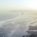 Screen Shot 2017-02-15 at 1.37.44 PM