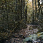 Oregon Bride Promo 2017 V1 4K.00_00_03_15.Still003