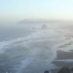 Wedding 2018.00_00_00_00.Still001