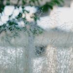 Header compressed