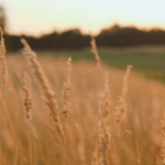 Header 2