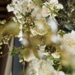 Social Trailer Header
