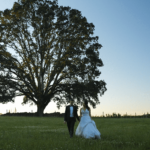 Trailer THumbnail copy